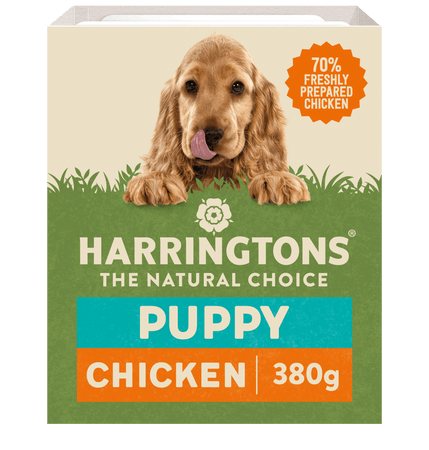Harringtons puppy deals food feeding guide