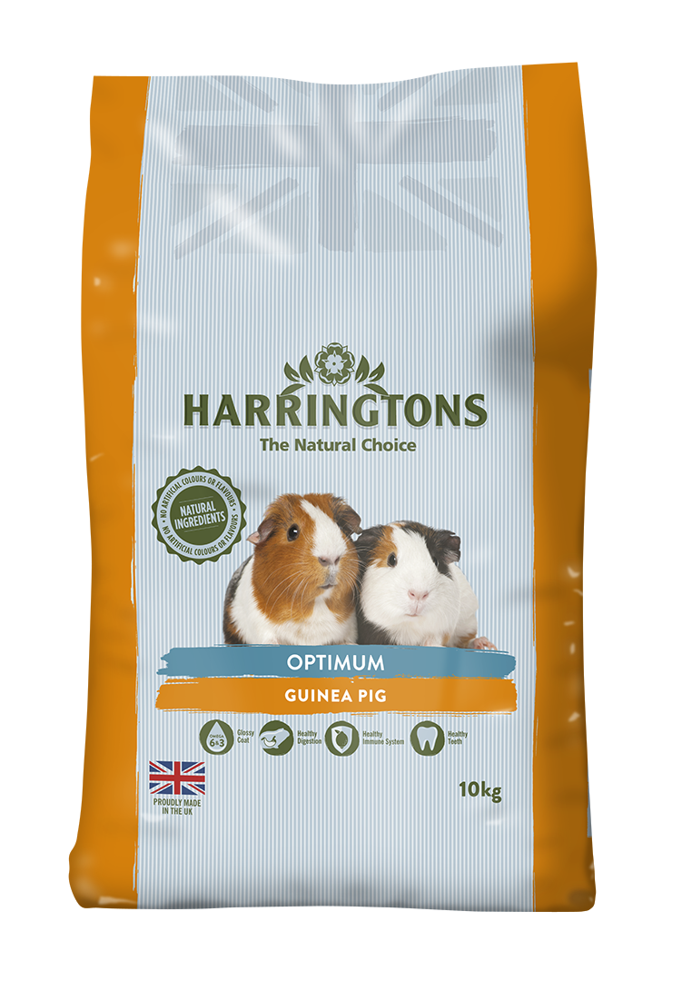 Pets at home sales guinea pig food